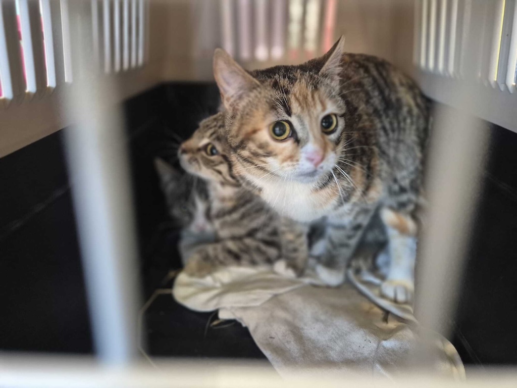 Mēs esam ceļa sākumā