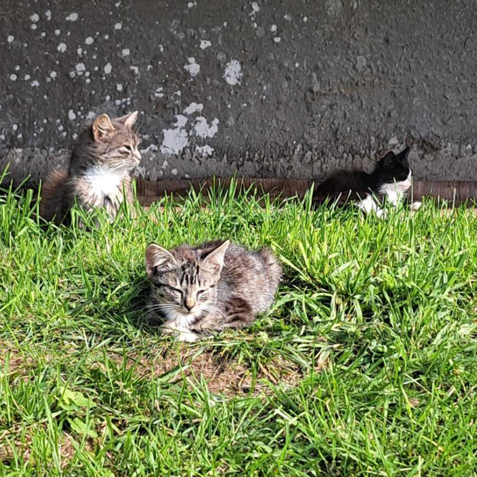 Mēs esam ceļa sākumā