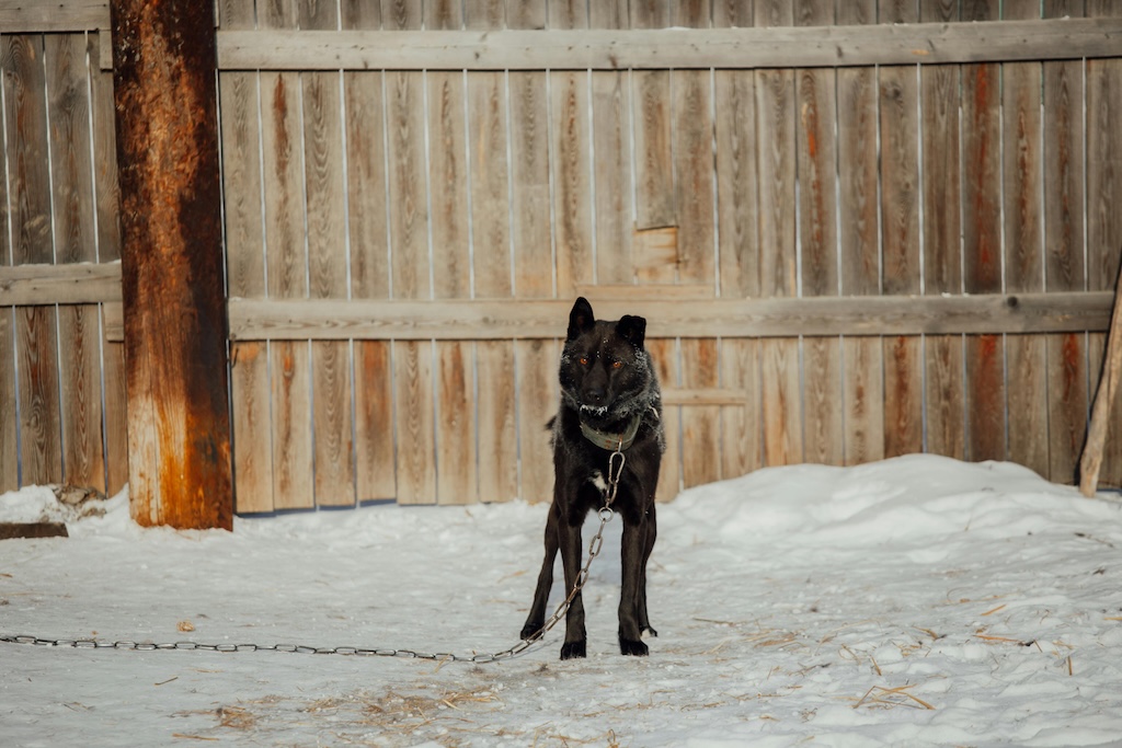 Mēs esam ceļa sākumā