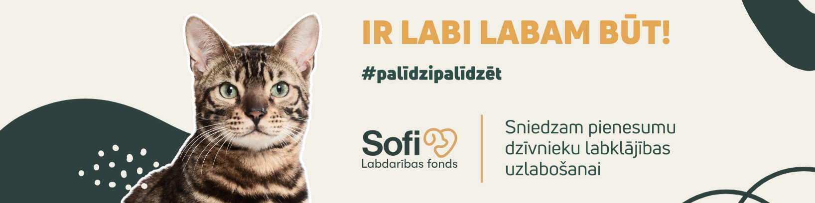 Pieteikums ielas kaķu mājiņas uzstādīšanai