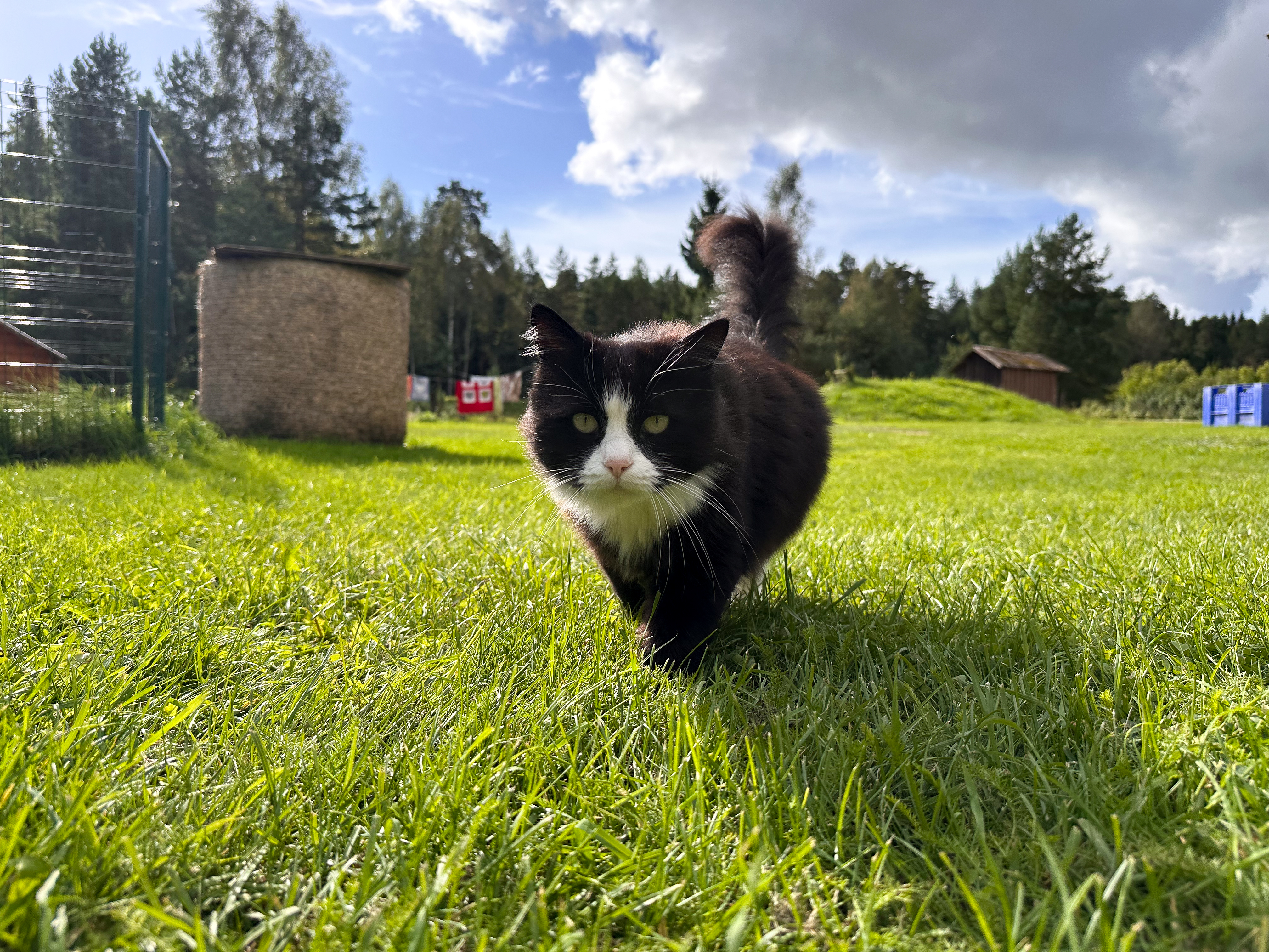 Mēs esam ceļa sākumā